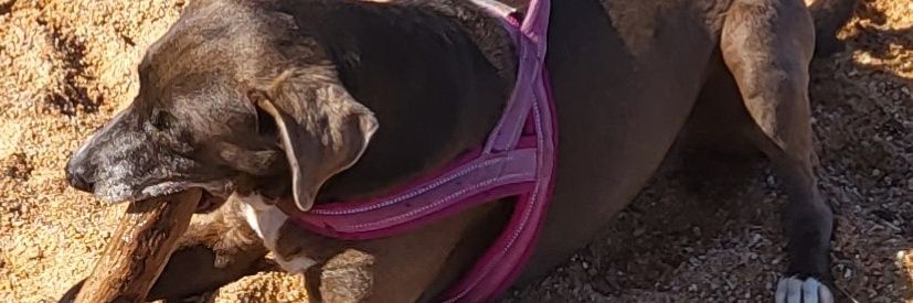 57gerri's profile banner image