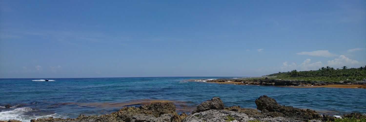 Irving Felipe banner