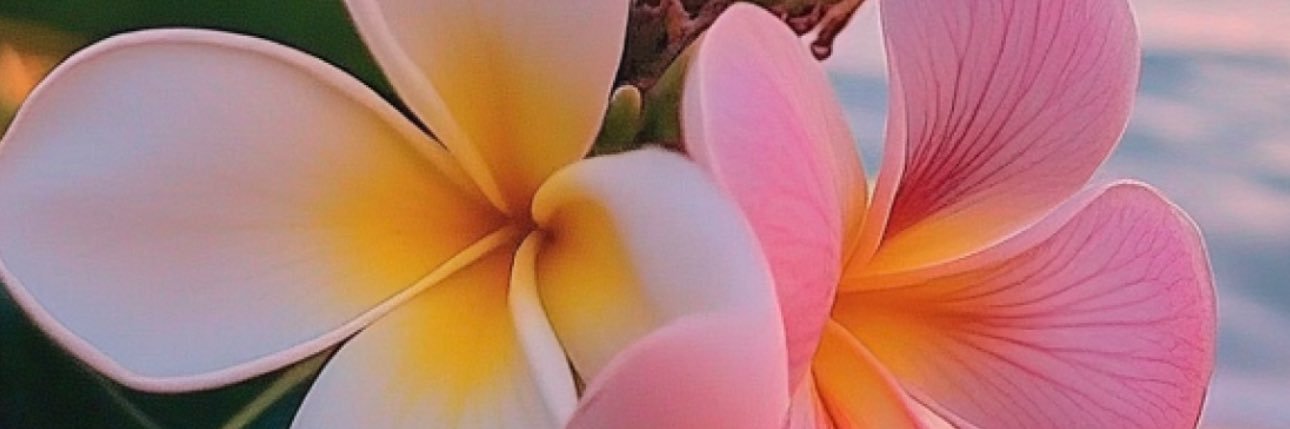 ||~ Ryder Juliet Gordon banner
