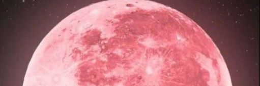 AntuAdamo_'s profile banner image