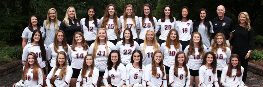 chiles_volleyball banner