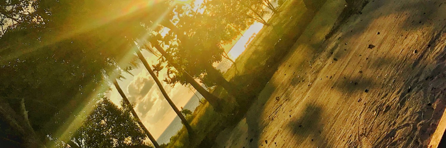 mishurl2's profile banner image