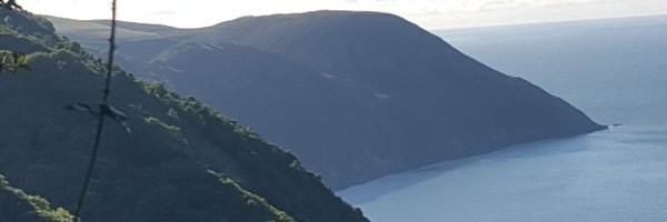 Kate_Walter_ Profile Banner
