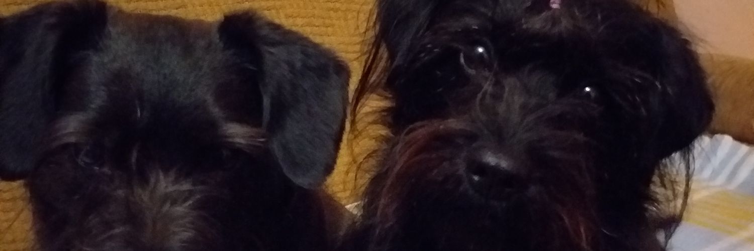 SBieniecka's profile banner image