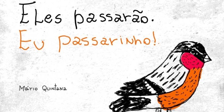BarbaraLoiola's profile banner image
