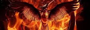 divergente banner
