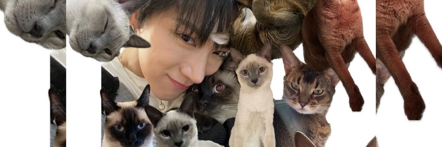 wansundays's profile banner image