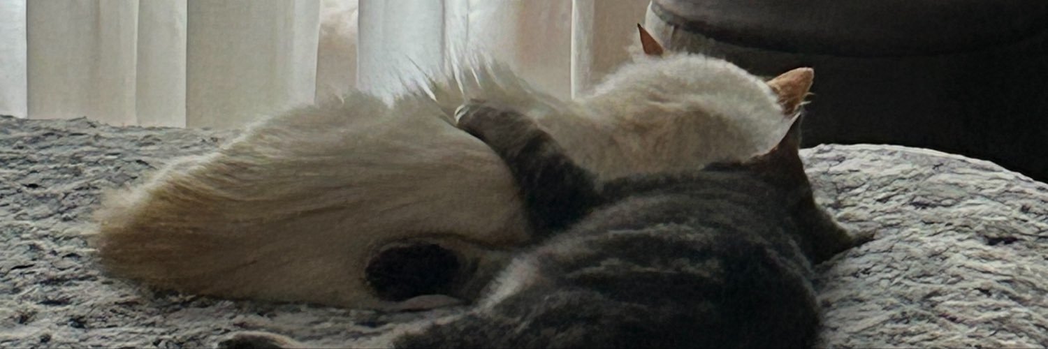 atsgbizz's profile banner image