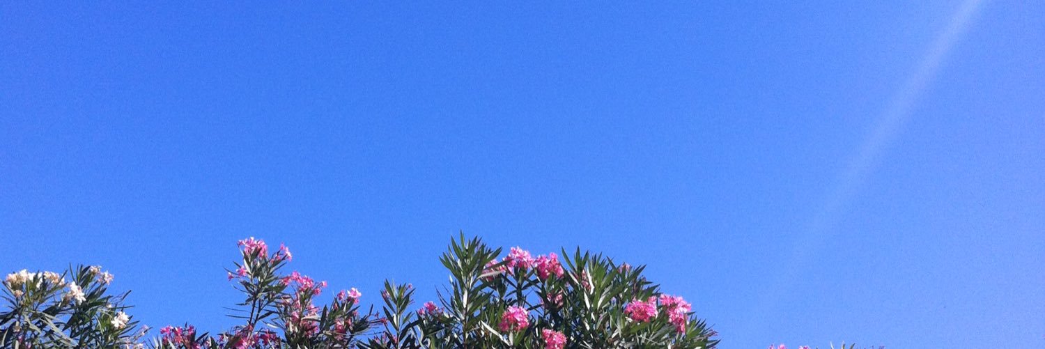 KimberleyBnt's profile banner image