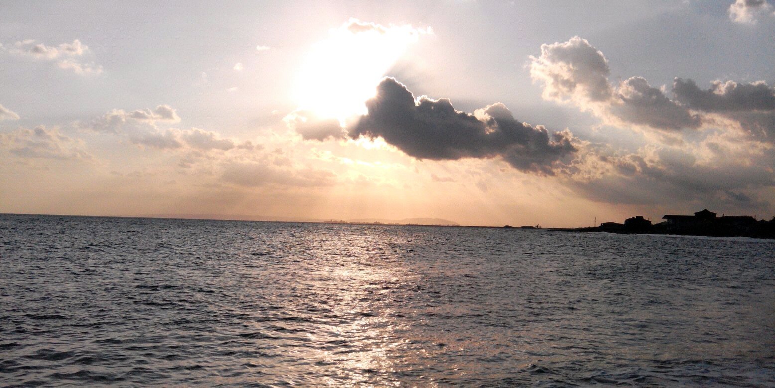 CrazyChrisann's profile banner image