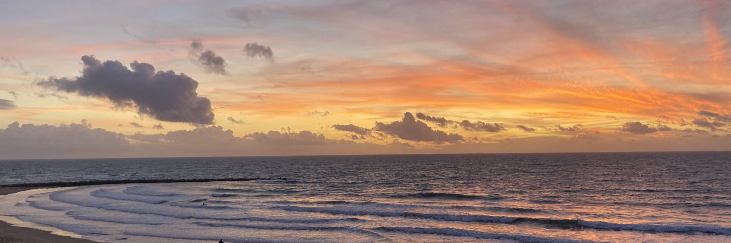 ninapple198's profile banner image