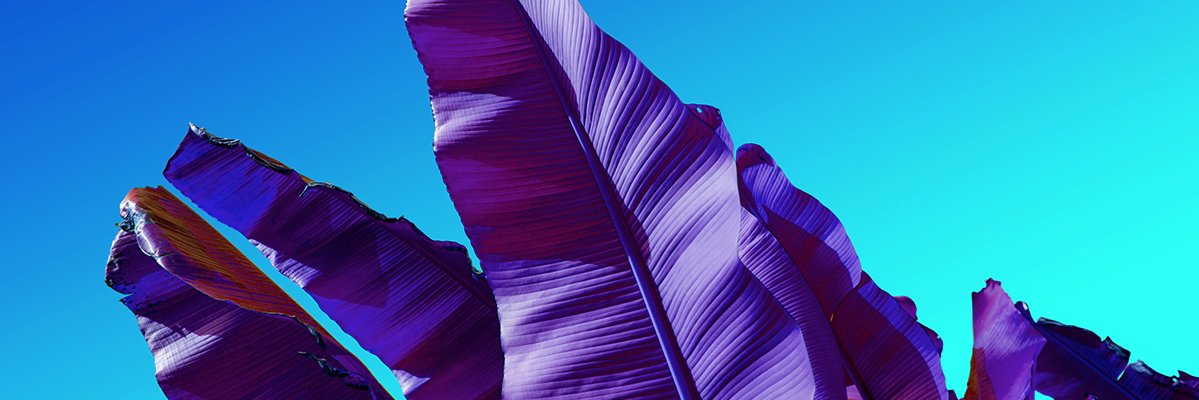 Ryan_Paterson's profile banner image