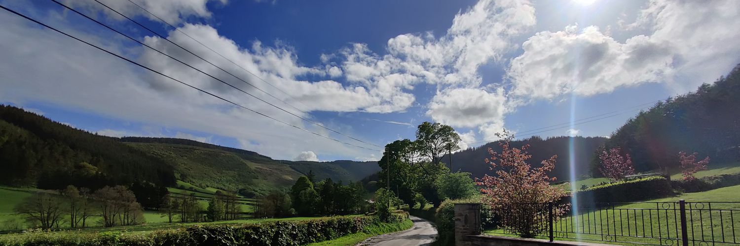 Bunnybuns/Bipolar banner