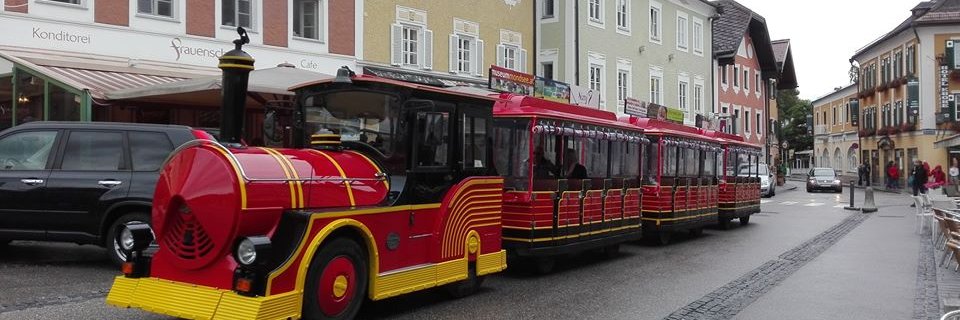 Elena Gil Muneta banner