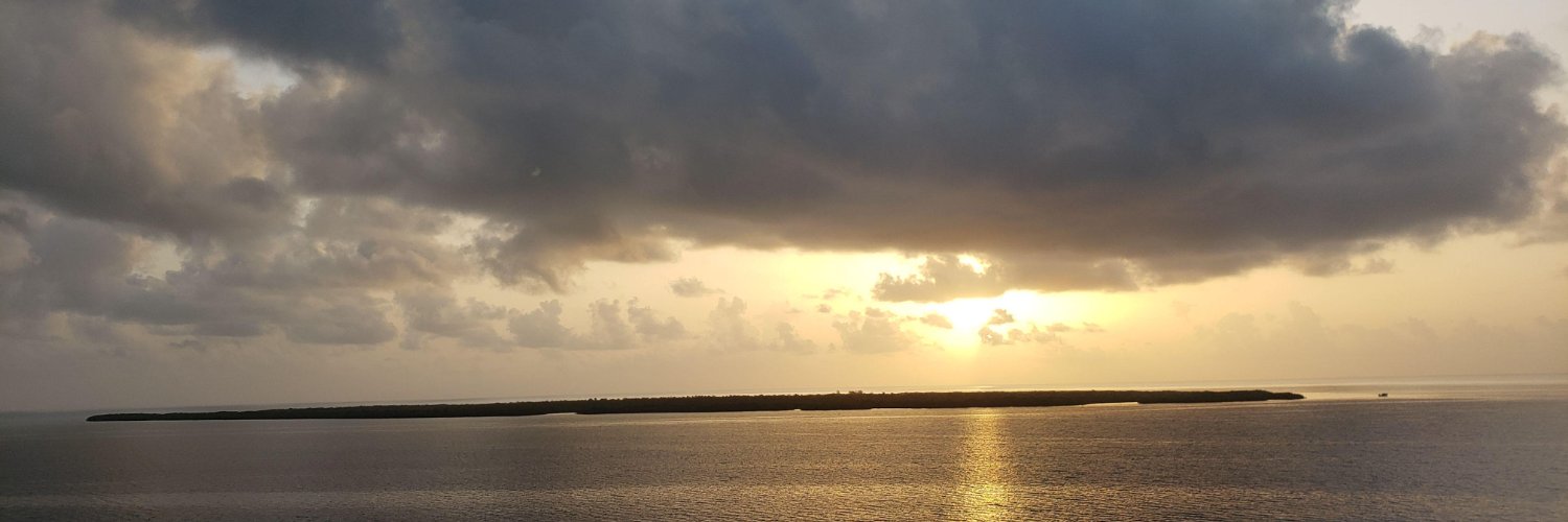 Cynthia Tang, PhD banner