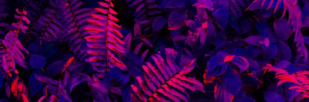 definingdave's profile banner image