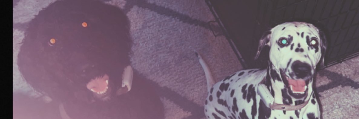 AshleyM12323's profile banner image
