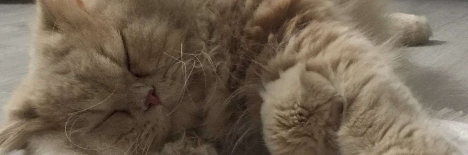 Murat Ethemoğlu banner