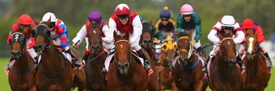 GamblingFreak's profile banner image
