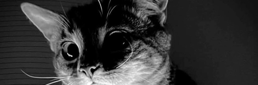 stouffer666's profile banner image