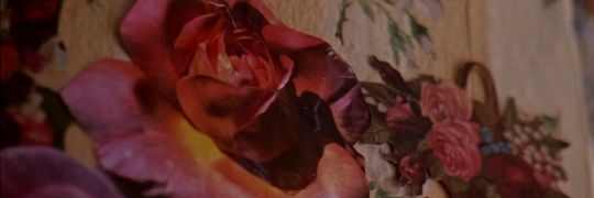 ロブ・ストーン 🇺🇦 banner