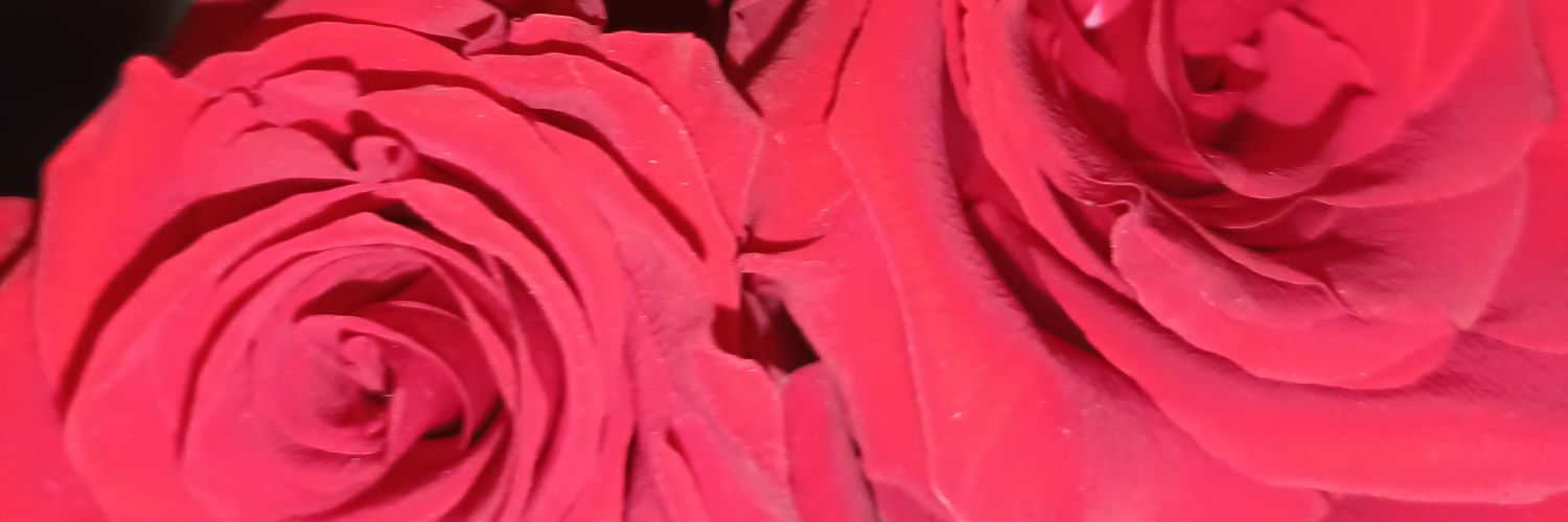 Suriicaate's profile banner image