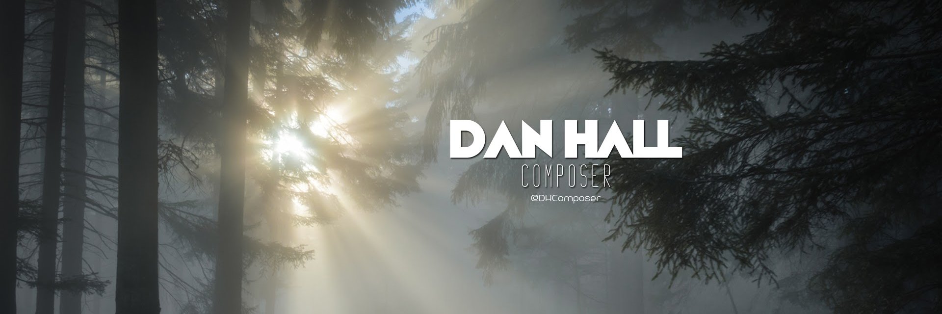 Dan Hall banner