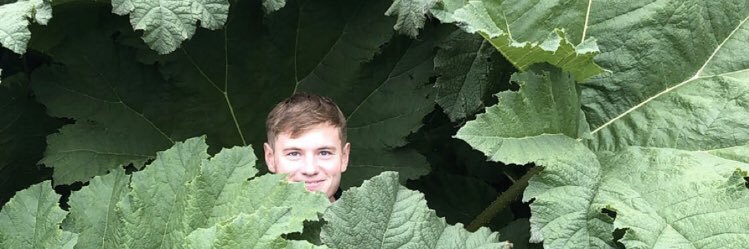 Dingy98's profile banner image