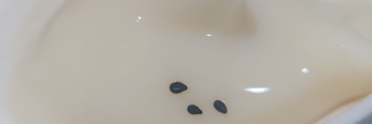 _Chin_Anago_'s profile banner image