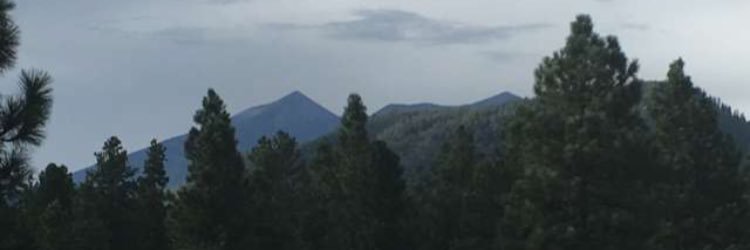 taya_mort's profile banner image