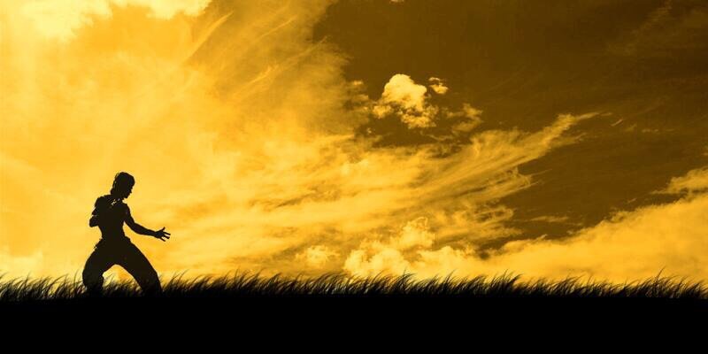 Stevehobbss's profile banner image