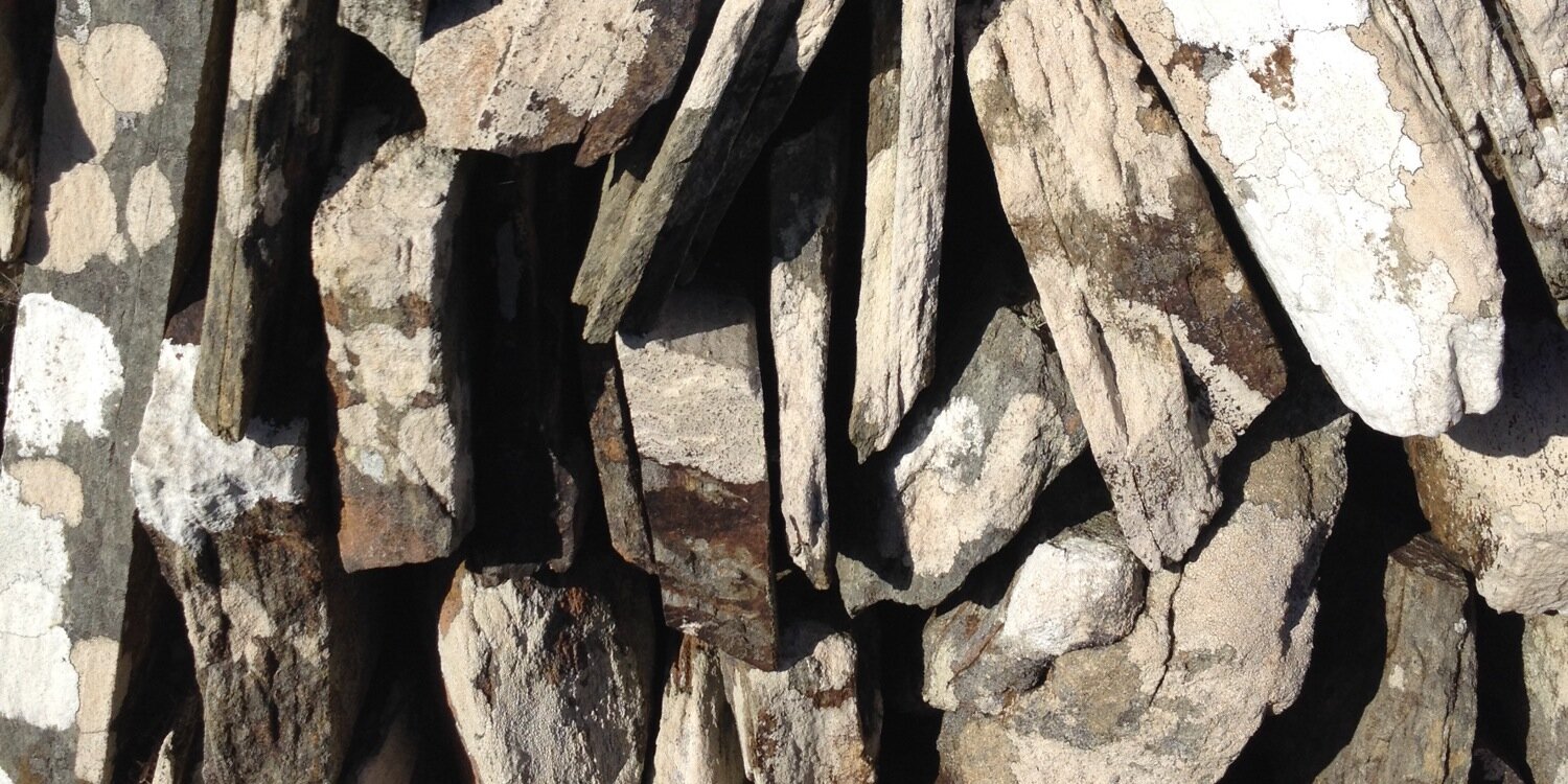 Ciarán O' Driscoll / Ó Drisceoil🇵🇸🇺🇦🏳️‍⚧️ banner