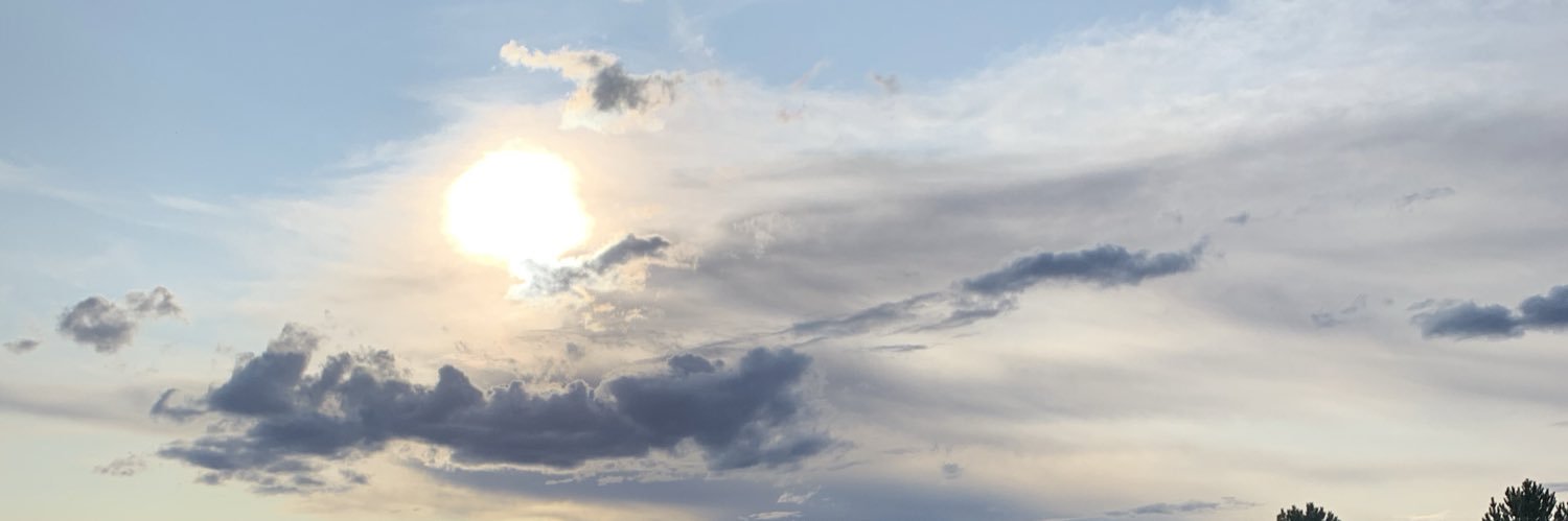 mini_ditty's profile banner image