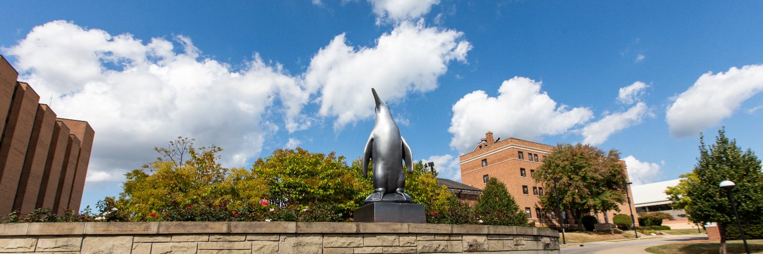 Youngstown State University banner