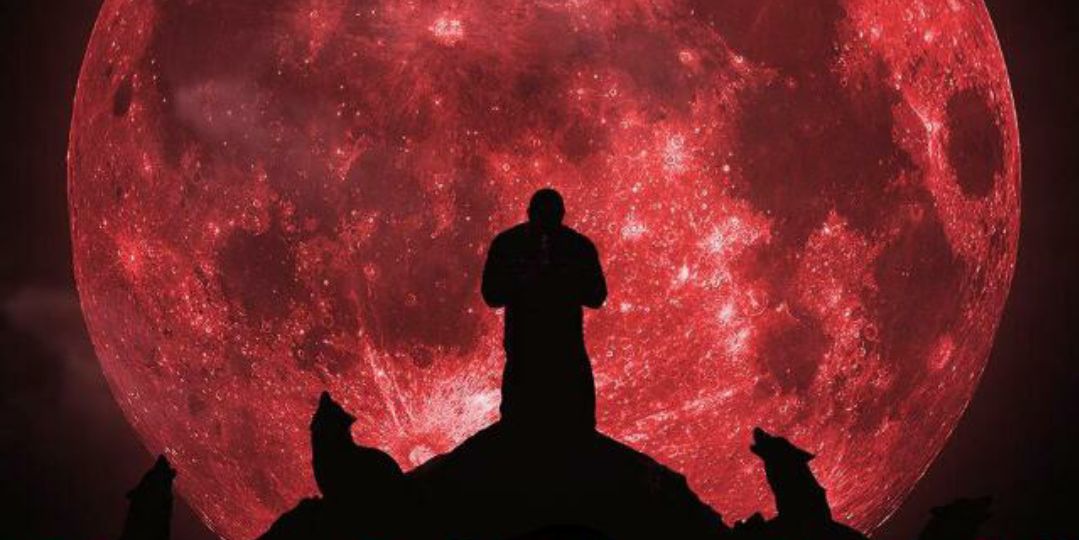 khalidsalim2011's profile banner image