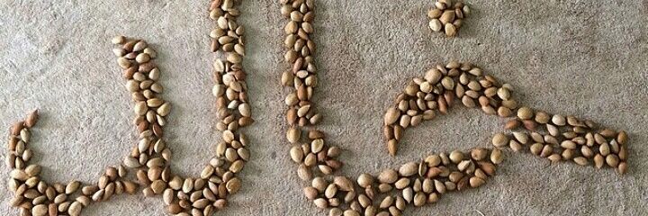 Mf28A's profile banner image