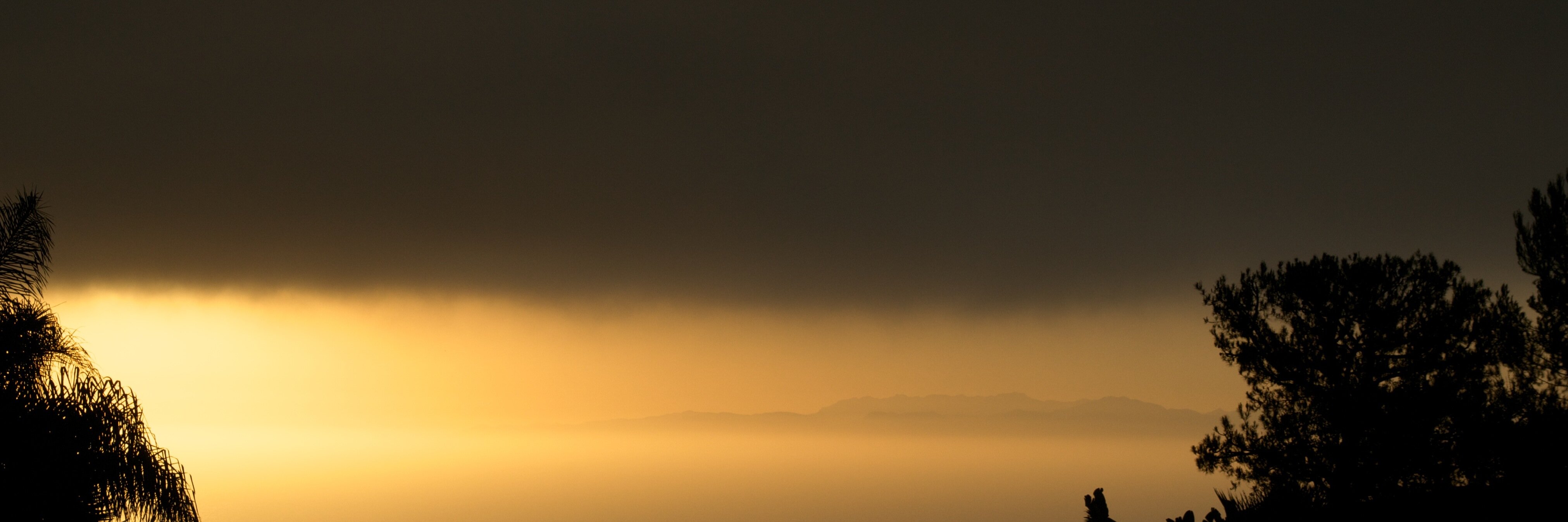 wheredidsamgo's profile banner image
