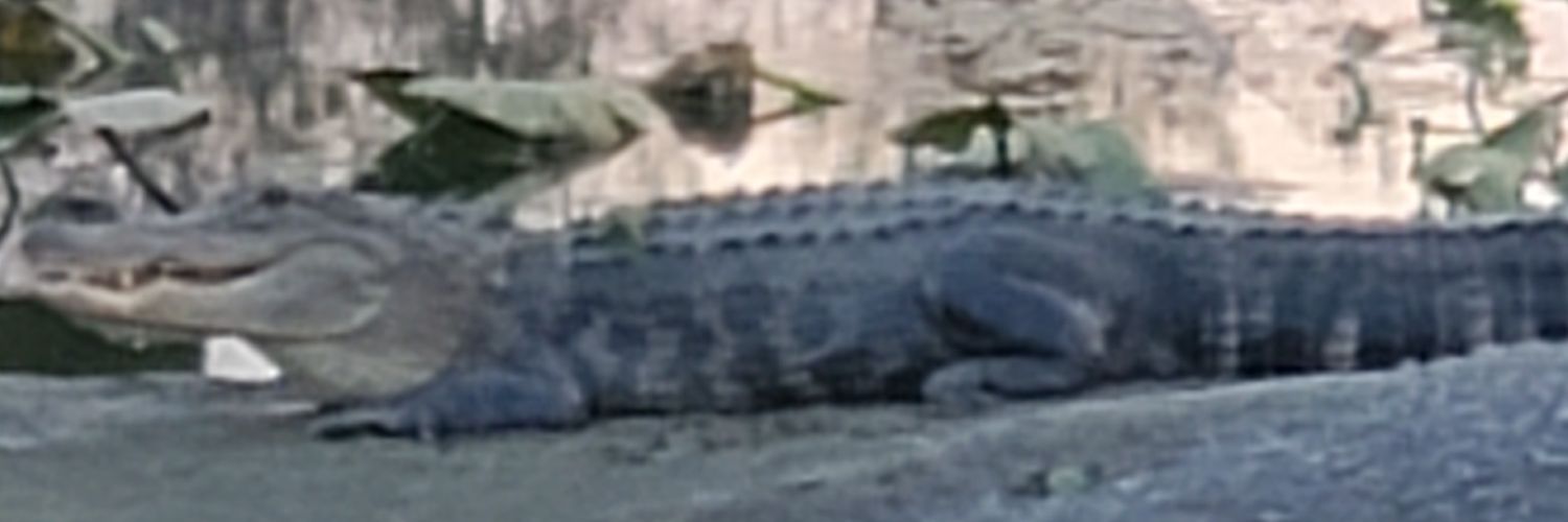 RealCrissJames's profile banner image