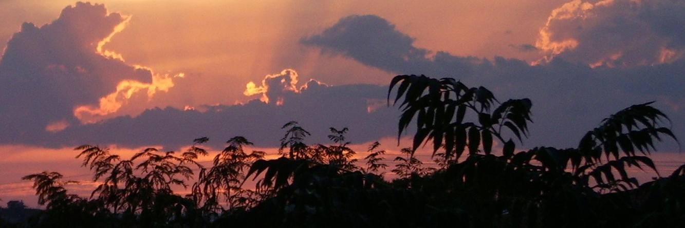 Joel_mch's profile banner image