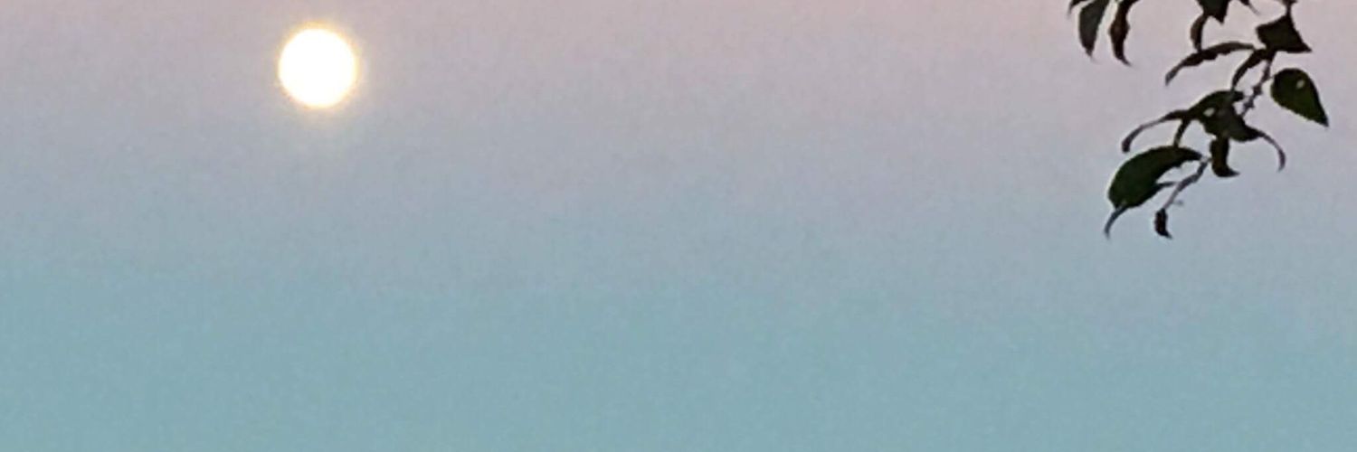 AWaddingham's profile banner image