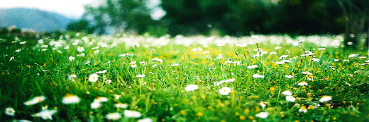 _edshug's profile banner image