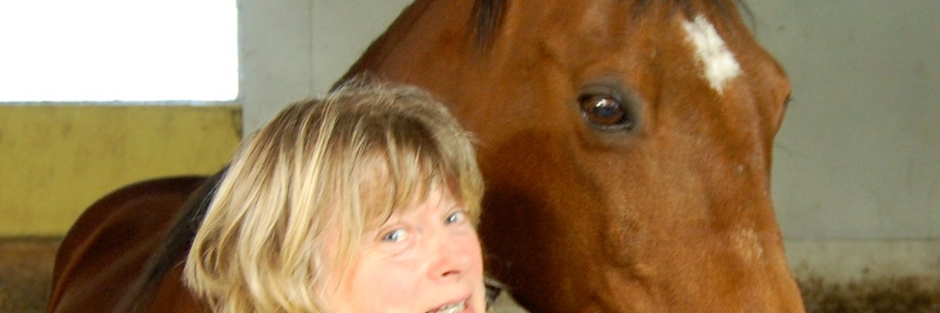 Elisabeth Falkhaven banner