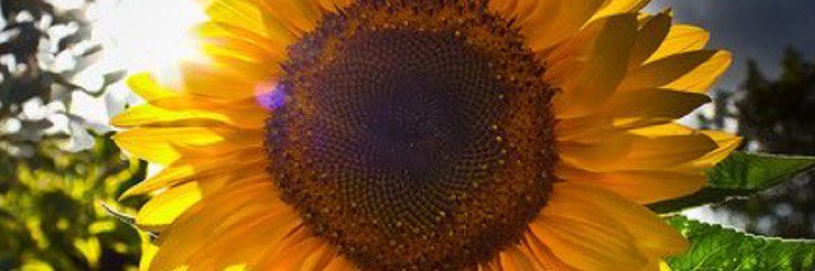 click376's profile banner image