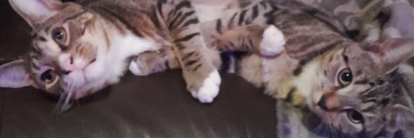 p3nf0ld Profile Banner