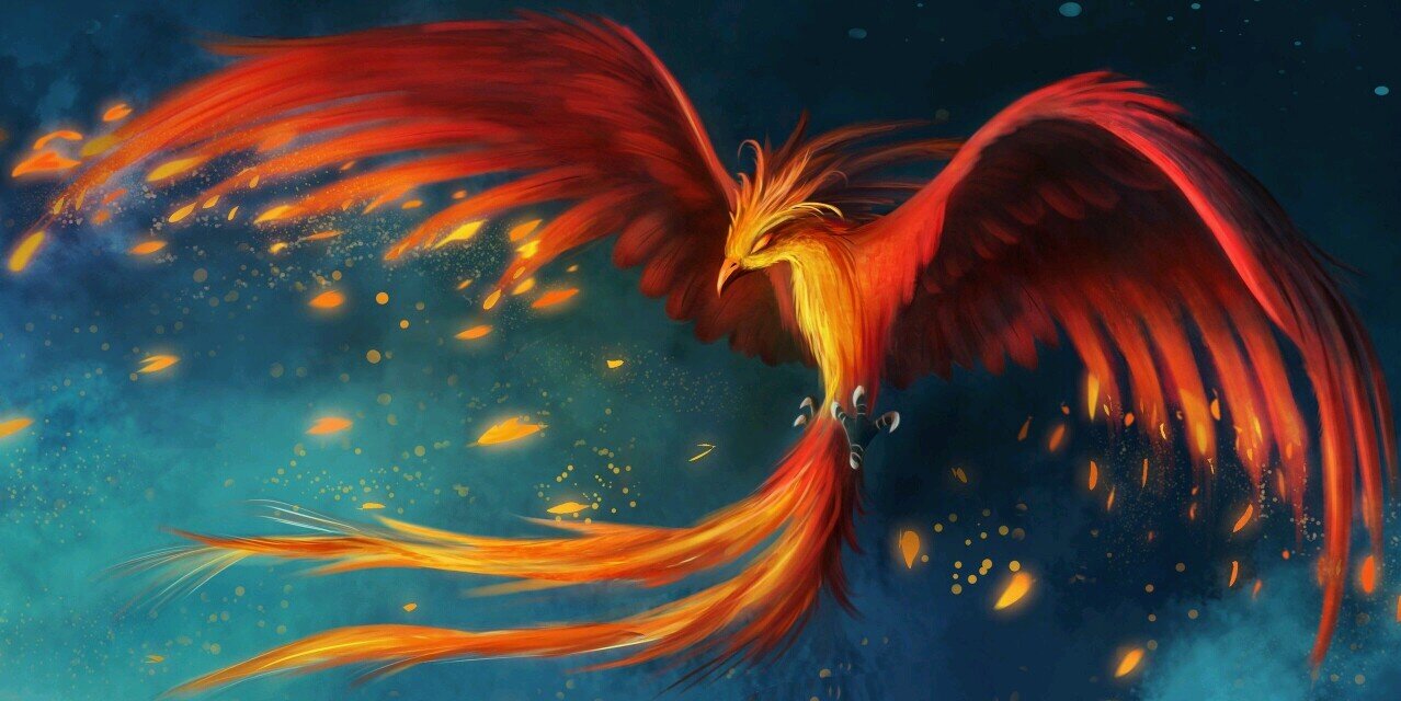 Josh banner
