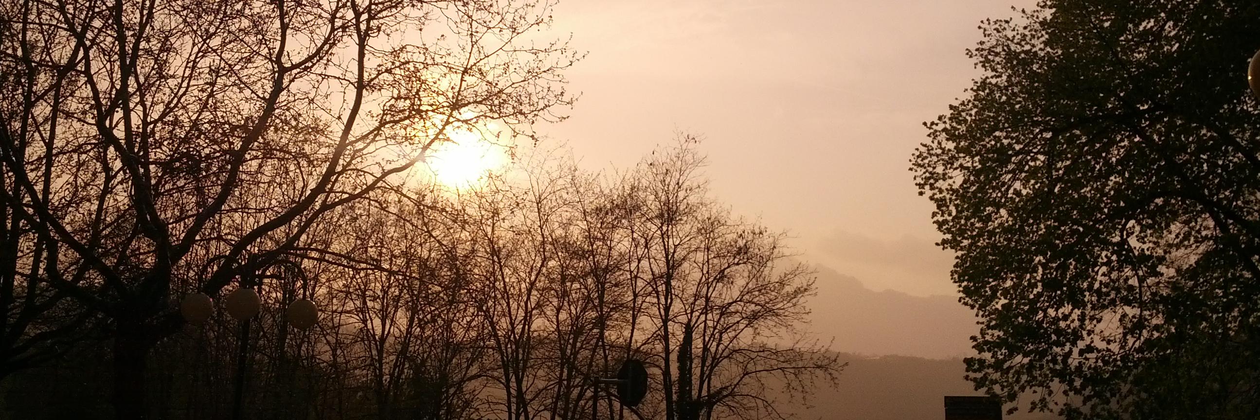 Martina De Sanctis banner