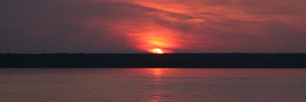 davidshaynes Profile Banner