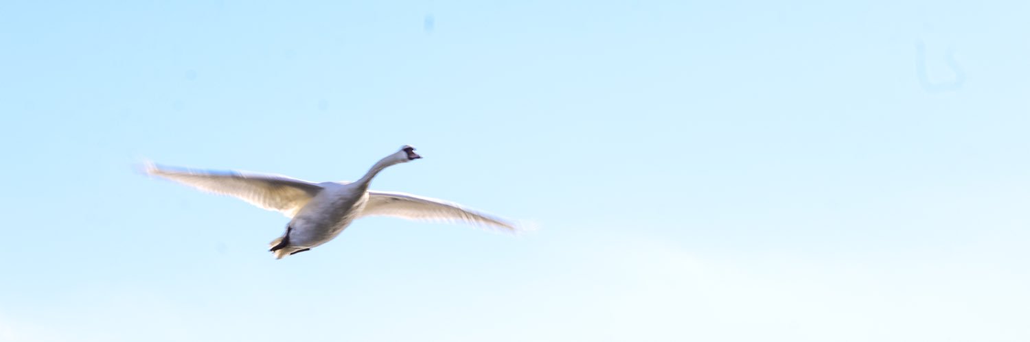 Kaylorado's profile banner image