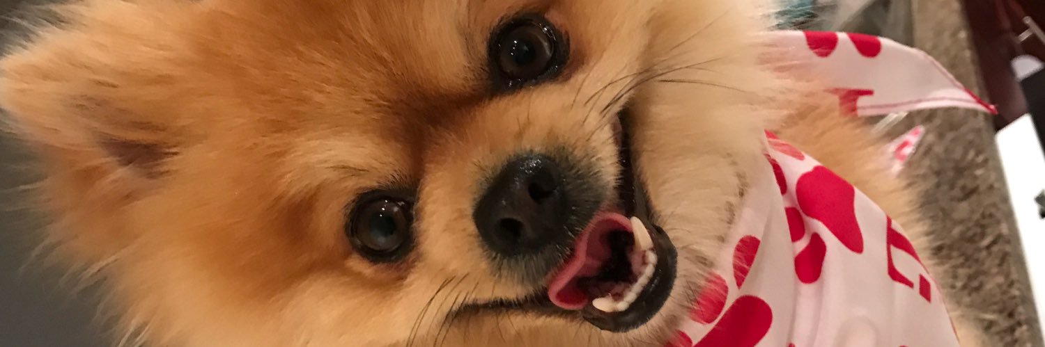David_Bui00's profile banner image