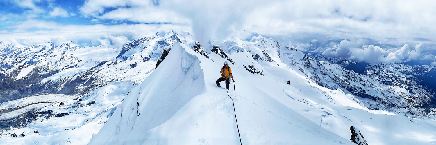 Andrea Owe - Existential Risk from the Wild banner